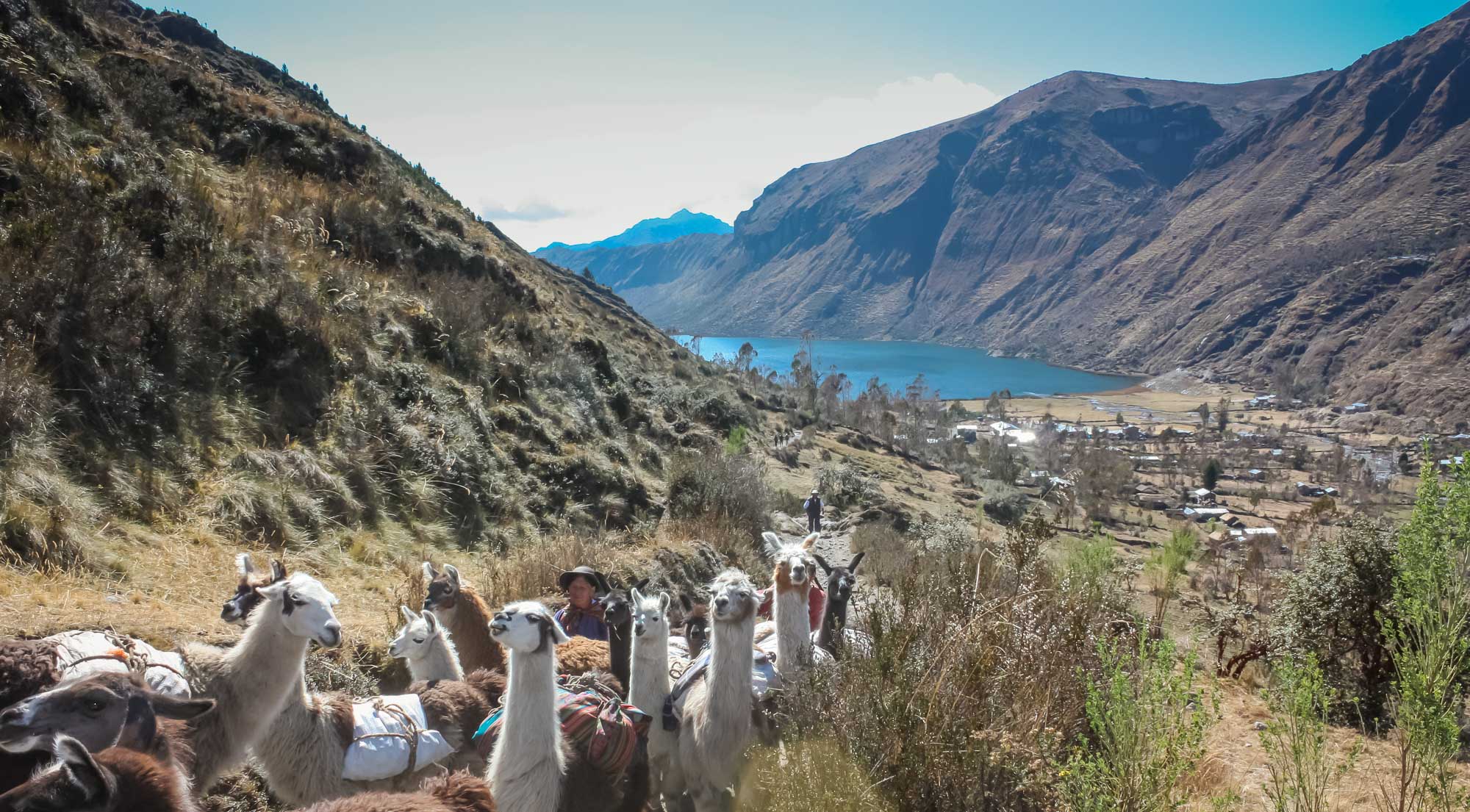 A couple and their llama flock walk uphill from a lake and village