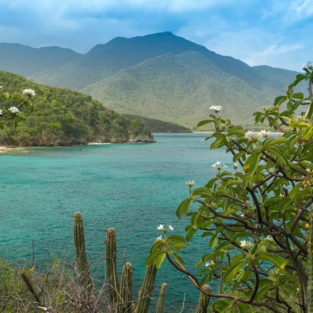 Turquoise Tranquility at Tayrona's Crystal Beach