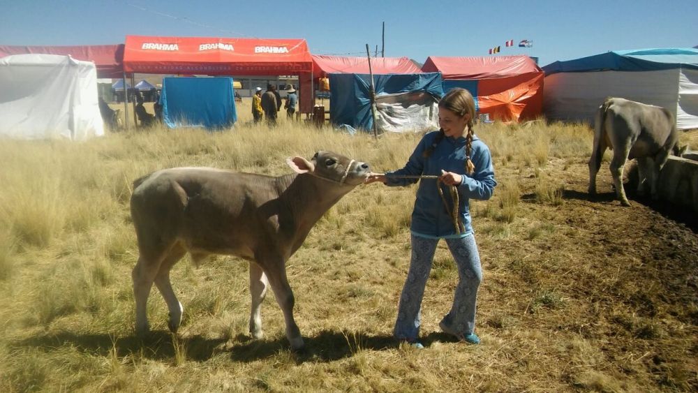 Peru with kids and cute baby animals - it's a photographer's dream!