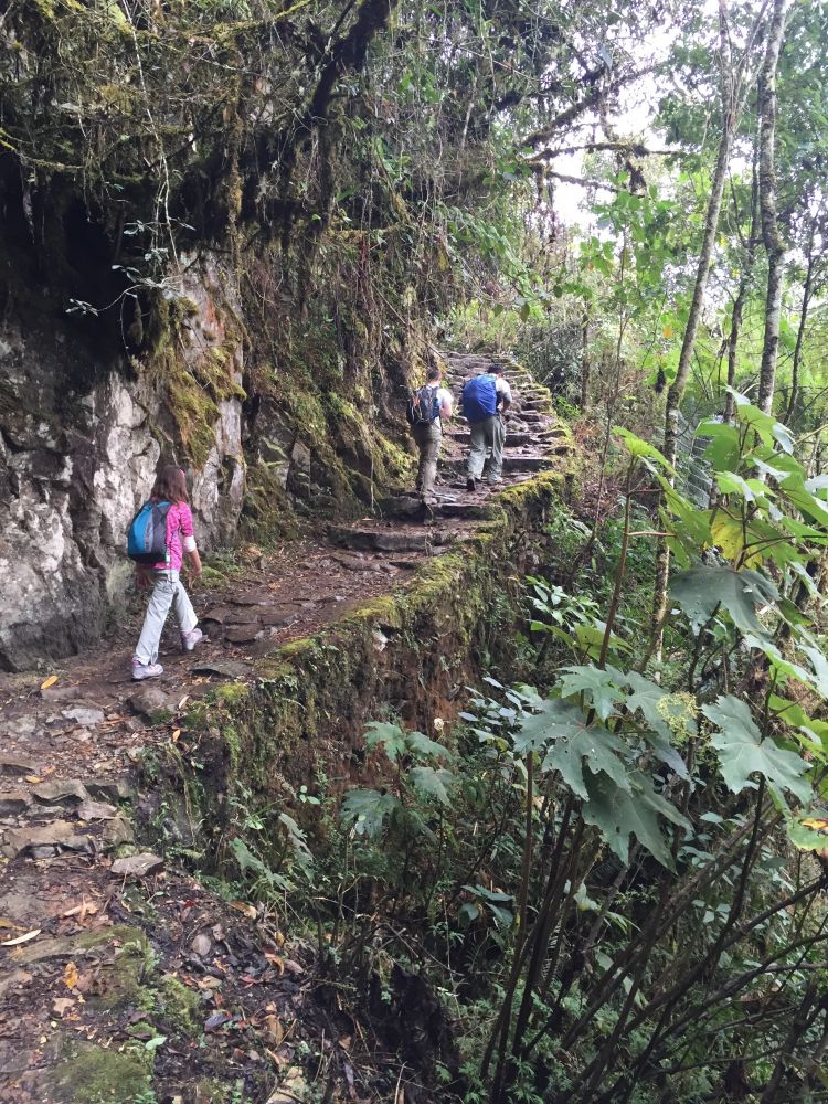 The Stephenson family hiking the Inca Trail with Aldo on a custom family trip