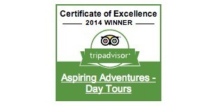 TripAdvisor Certificate of Excellence!