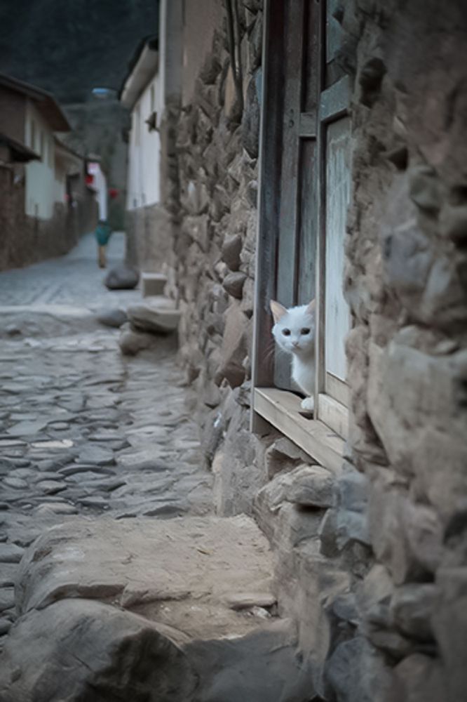 Ollantaytambo alleyway ©Doug Logan 2014, douglogancreative.com