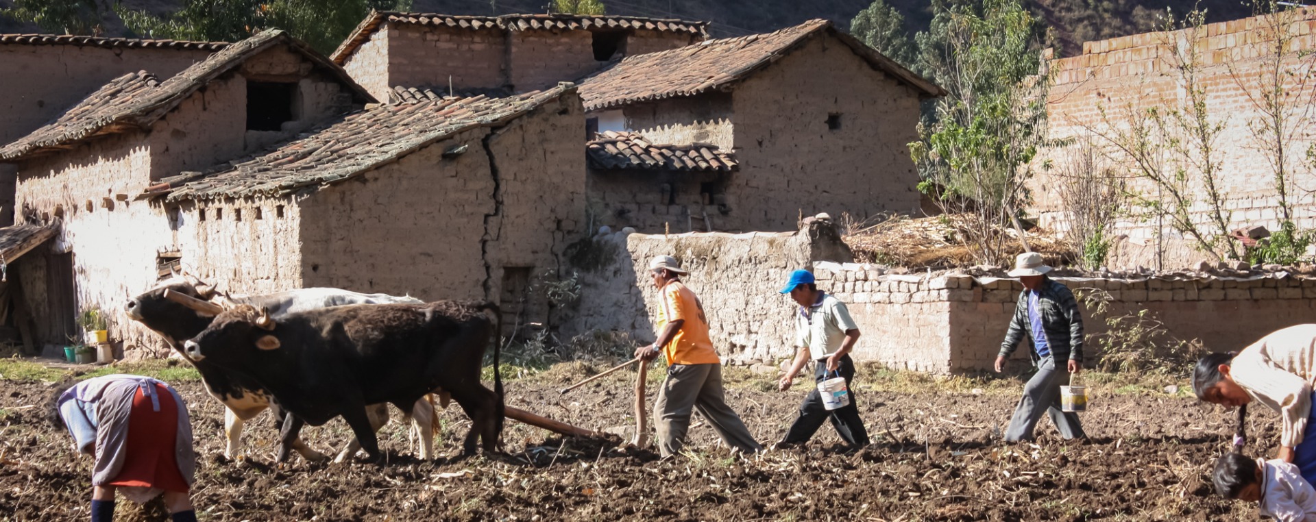 Tour of Peru for farmers