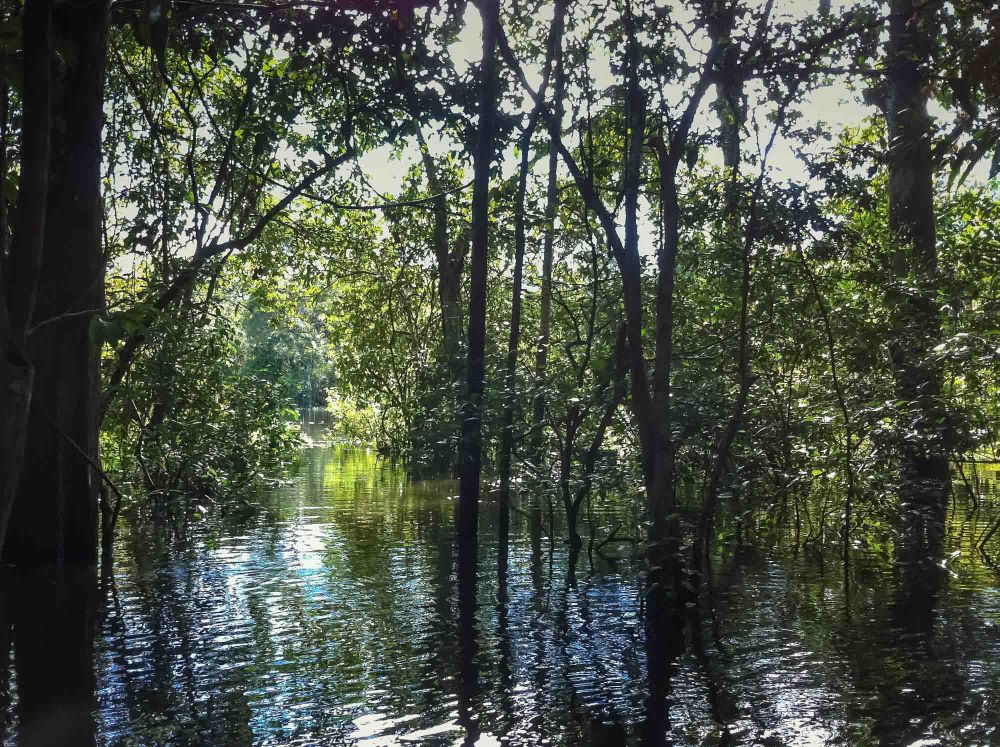 Our expert boatmen guide us through the waterways that are their home