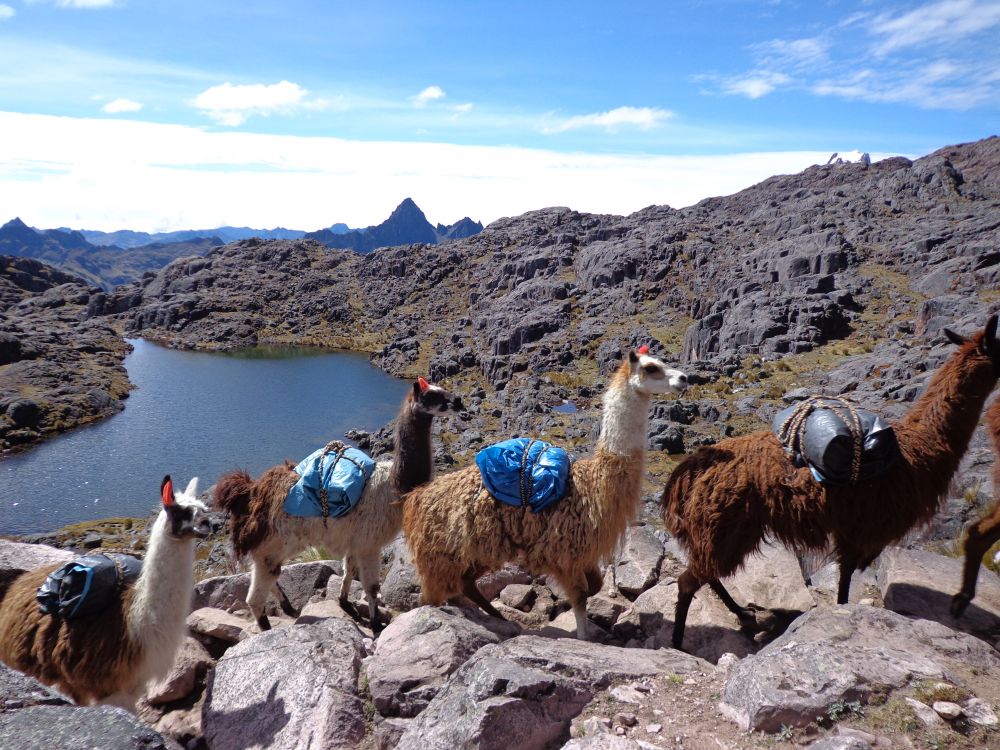 Local cargo carrying service on one of our hikes