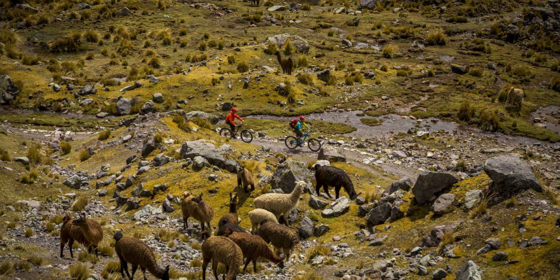 Two cyclists biking Peru on a dirt road that drops away before a huge mountain