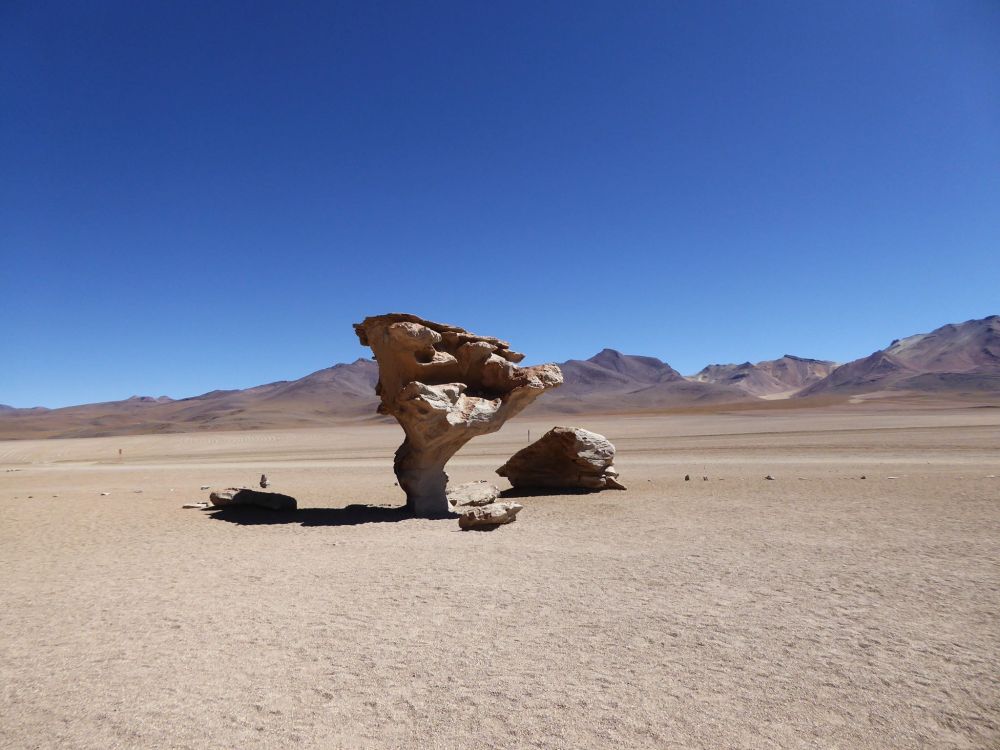 Carved Canvas: Bolivian Desert's Sculpted Stones
