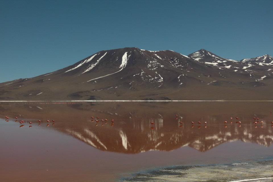 Red Lagoon