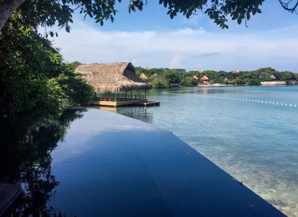 Breathtaking Vistas: Las Islas' Sea and Forest Sanctuary