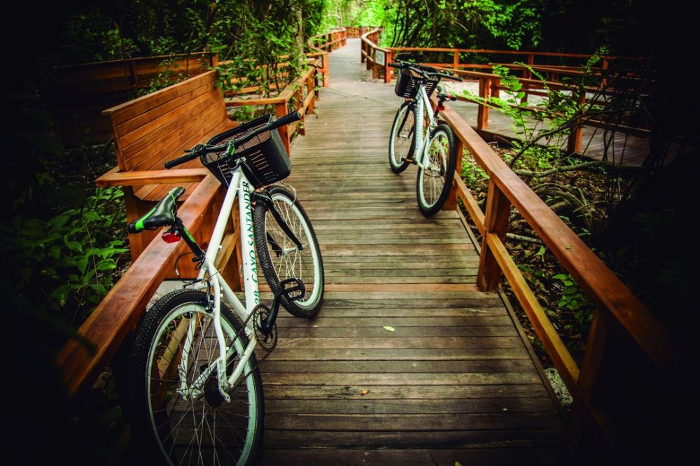 Breezy Baru: Exploring Paradise on Two Wheels